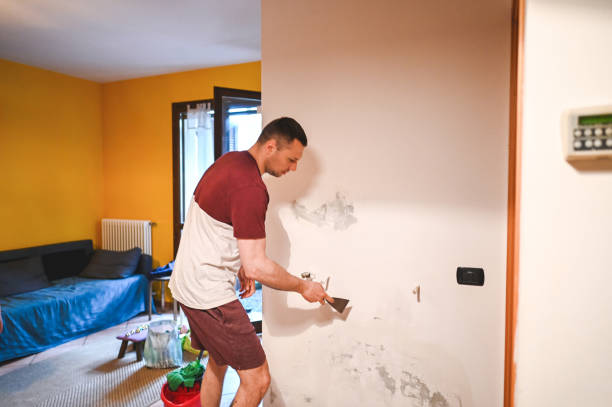 Best Post-Flood Mold Remediation in Woodstown, NJ